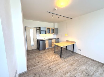 Pronájem bytu, 1+kk, 26 m²