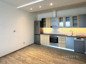 Pronájem bytu, 1+kk, 51 m²