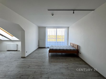 Pronájem bytu, 1+kk, 51 m²