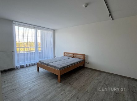 Pronájem bytu, 1+kk, 51 m²