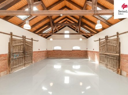 Pronájem obchodní prostory, 230 m²