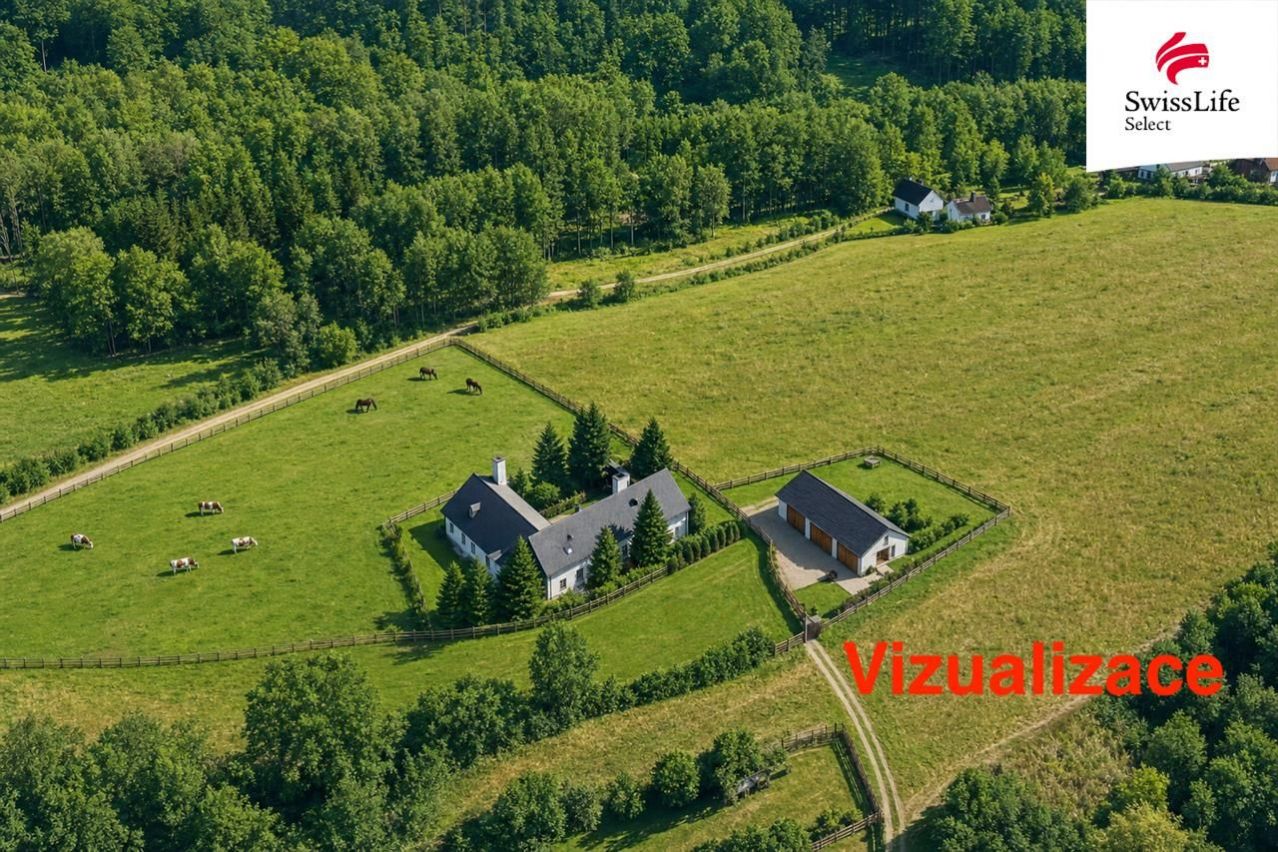 fotografie