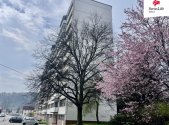 Prodej bytu, 3+1, 60 m²