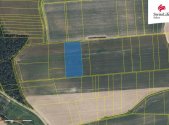 Prodej pozemku, zemědělská půda, 18 365 m²