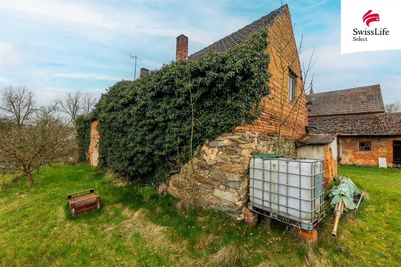 fotografie