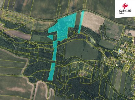 Prodej pozemku, les, 45 243 m²