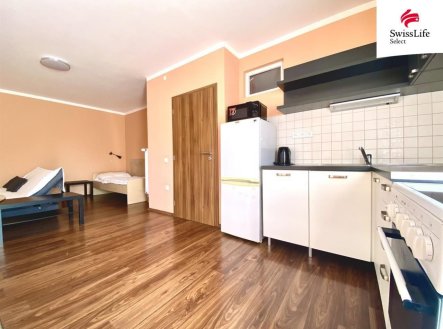 Pronájem bytu, 1+kk, 43 m²
