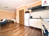 Pronájem bytu, 1+kk, 43 m²