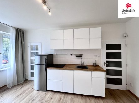 Pronájem bytu, 1+1, 22 m² obrázek