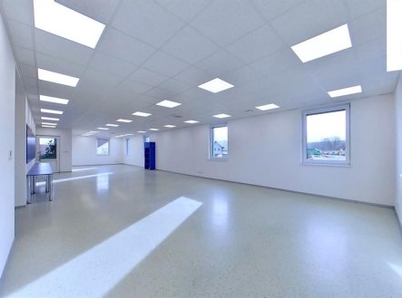 Pronájem obchodní prostory, 260 m²