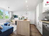 Prodej bytu, 4+kk, 63 m²