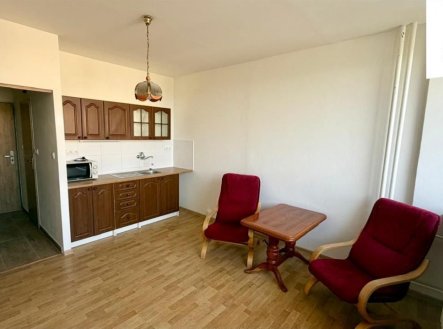 Pronájem bytu, 1+kk, 22 m²