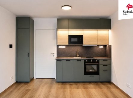 Pronájem bytu, 1+kk, 28 m²