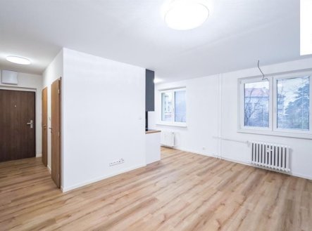 Pronájem bytu, 3+kk, 58 m²