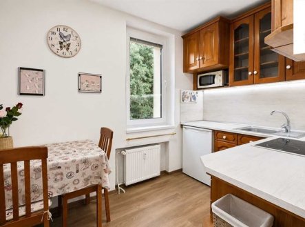 Pronájem bytu, 2+1, 42 m²