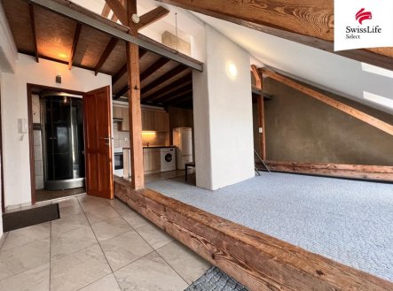 Pronájem bytu, 1+kk, 55 m²