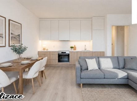 Prodej bytu, 2+kk, 58 m²