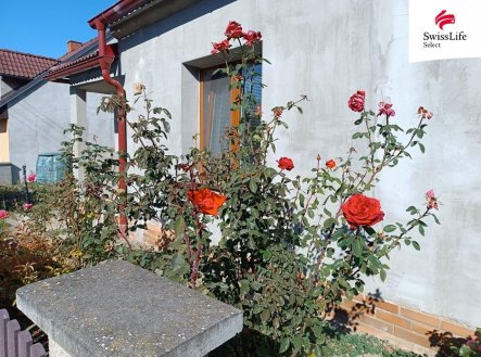 Pronájem domu/vily, 160 m²