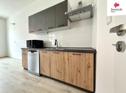 Pronájem bytu, 1+1, 41 m²