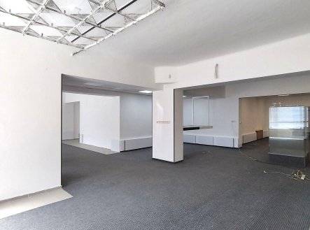 Pronájem obchodní prostory, 173 m²