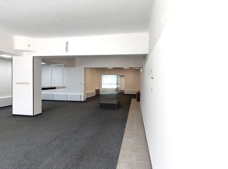 Pronájem obchodní prostory, 173 m²