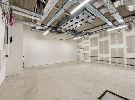 Pronájem skladu, 65 m²