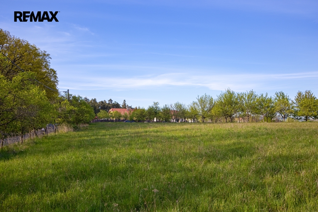 img-2906.jpg