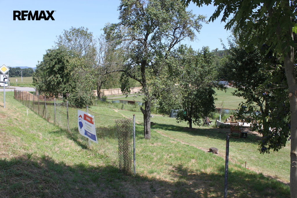 img-7137.jpg