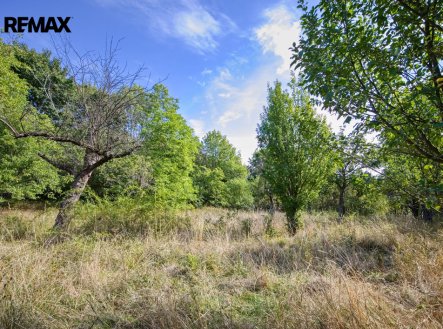 Prodej pozemku pro bydlení, 1 697 m²