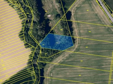 Prodej pozemku, zemědělská půda, 10 240 m²