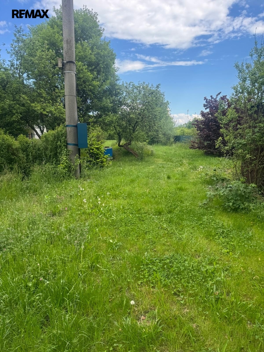 skastice-3.jpeg