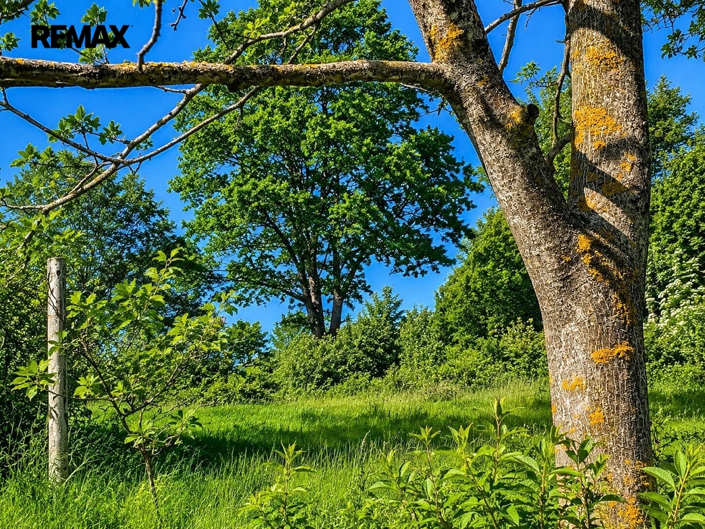 luhacovice-zahrada-1.jpeg