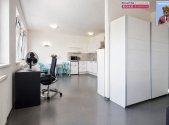 Pronájem bytu, 1+kk, 47 m²