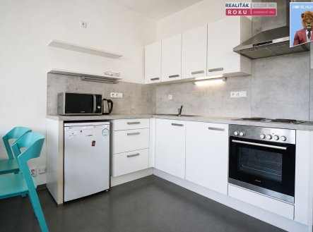 Pronájem bytu, 1+kk, 47 m²