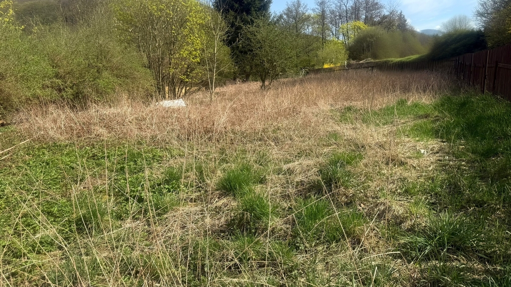 img-2230.jpeg