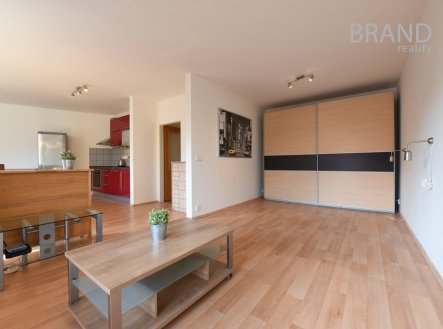 Pronájem bytu, 1+1, 49 m²