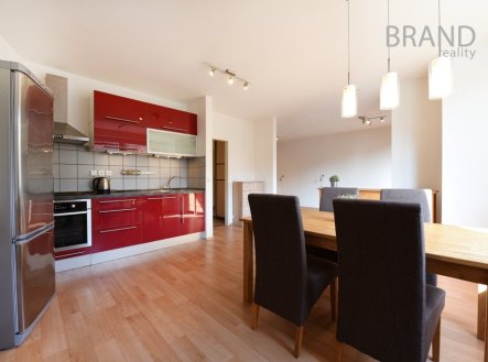 Pronájem bytu, 1+1, 49 m²