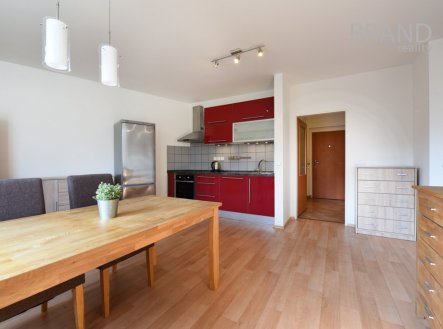 Pronájem bytu, 1+1, 49 m²