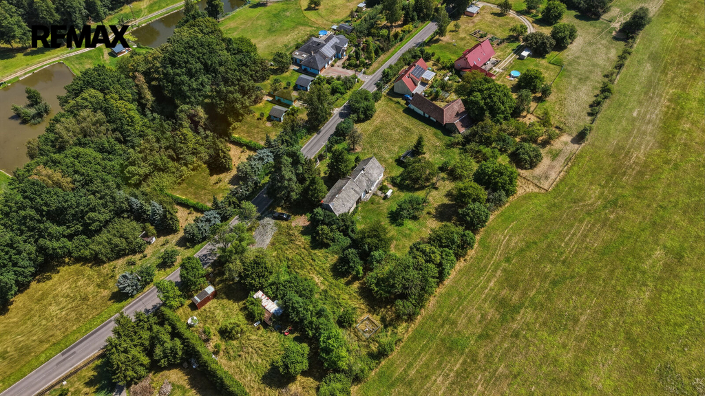 dron-duba-007-2.jpg