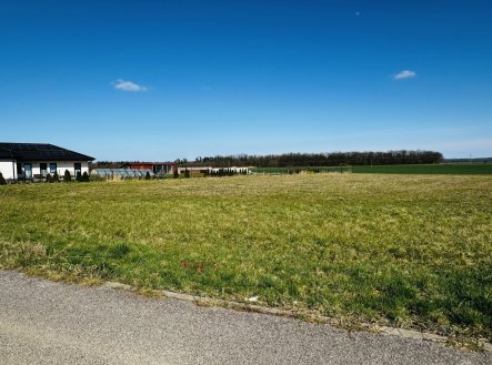 Prodej pozemku pro bydlení, 2 702 m² obrázek