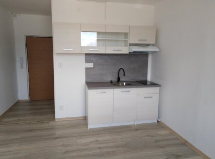 Pronájem bytu, 1+kk, 20 m² obrázek