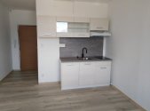 Pronájem bytu, 1+kk, 20 m²