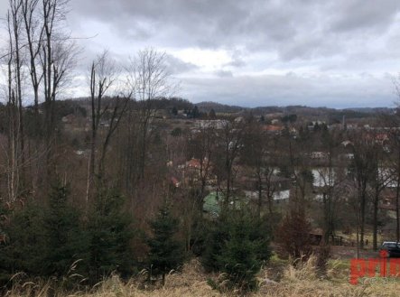 Prodej pozemku, les, 6 037 m²