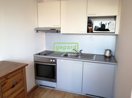 Pronájem bytu, 1+kk, 27 m²