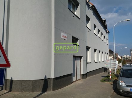 Pronájem