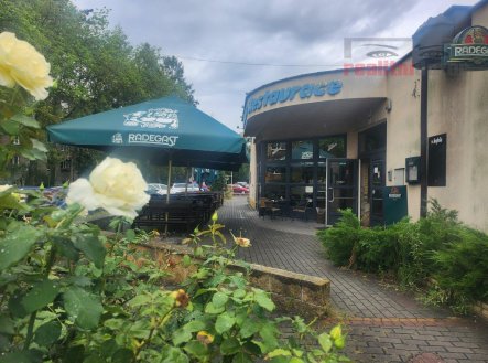 Prodej obchodní prostory, 343 m²