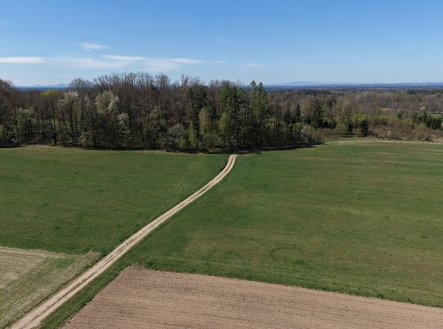Prodej pozemku, les, 360 000 m²