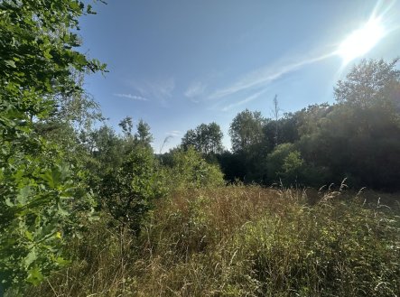 Prodej pozemku, ostatní, 3 546 m²