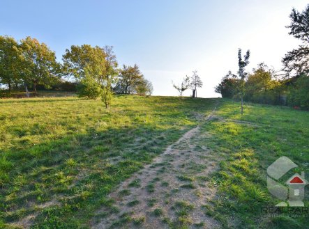 Prodej pozemku, trvalý travní porost, 595 m²