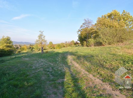 Prodej pozemku, trvalý travní porost, 595 m²